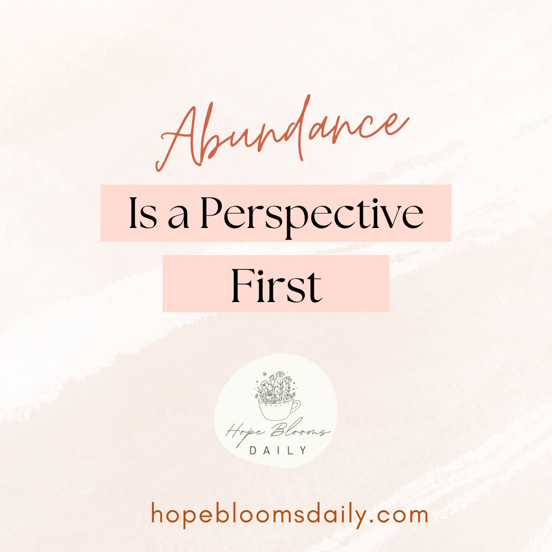 Abundance is a Perspective first