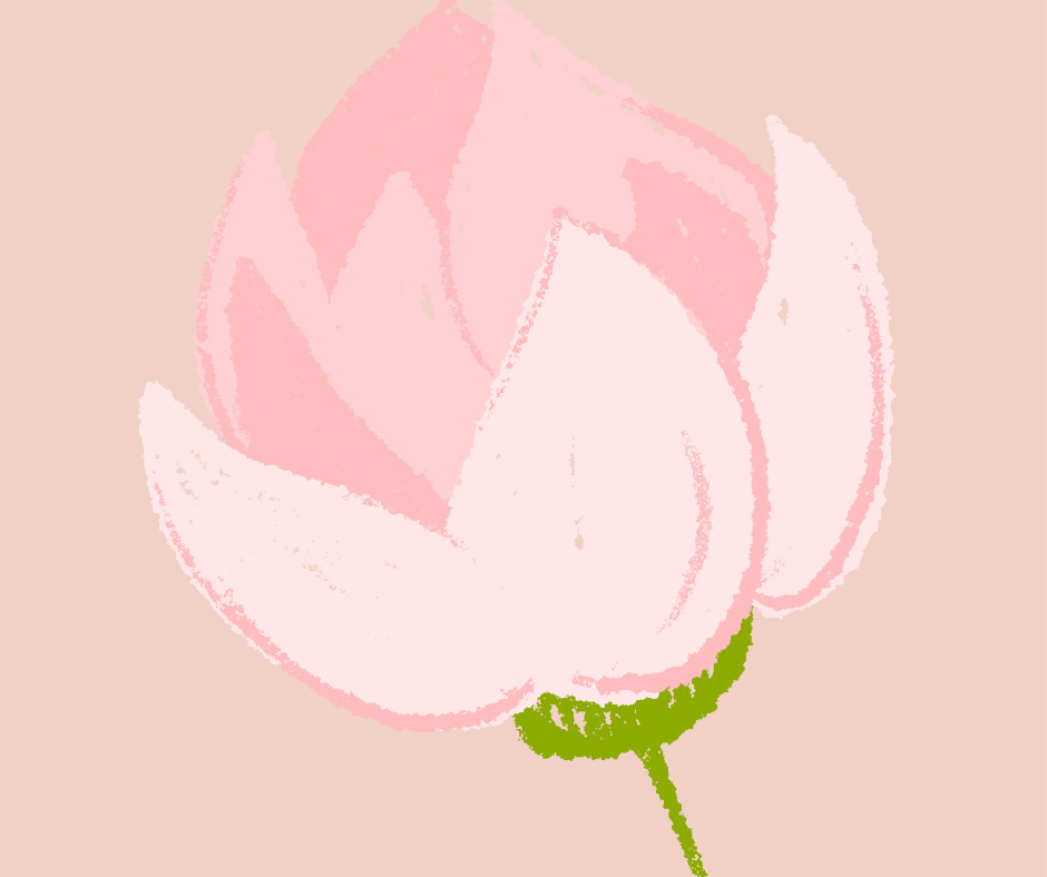pink flower
