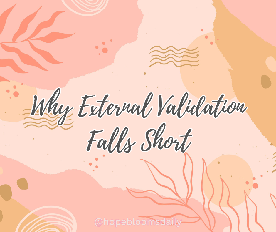 Why External Validation Falls Short